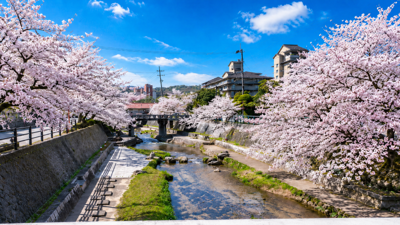 kodakara-onsen-image18